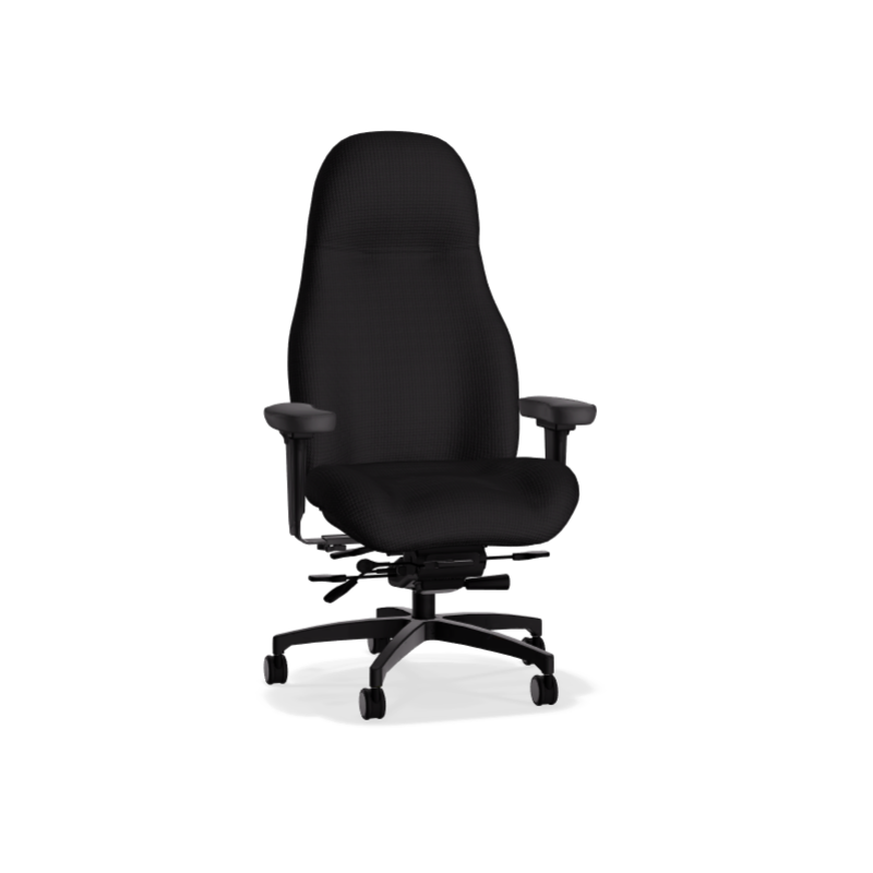 Lifeform 2390 Ultimate Executive High Back - Chairlines