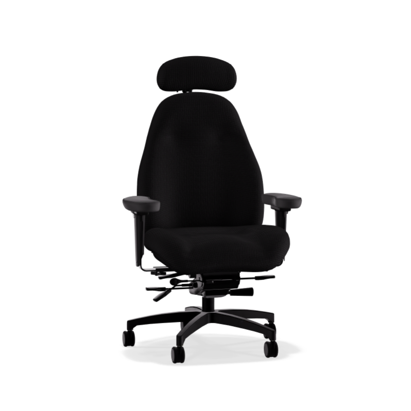 Lifeform 2490 Ultimate Executive Mid Back