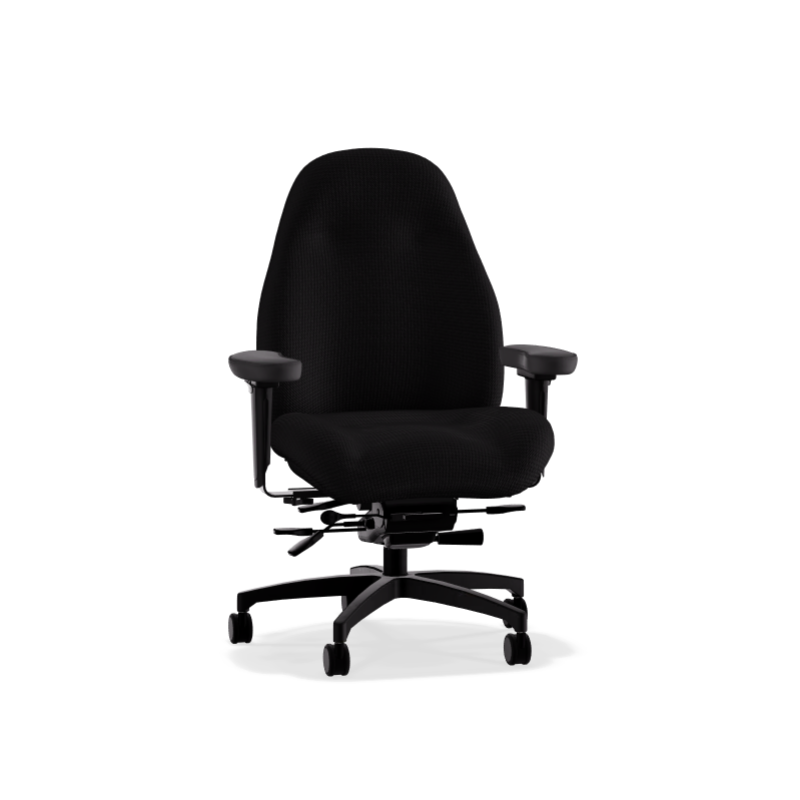 Lifeform 2490 Ultimate Executive Mid Back - Chairlines
