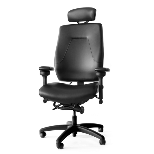 ergoCentric eCentric Executive - Chairlines