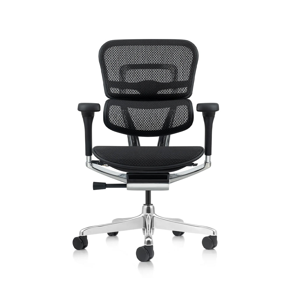 Ergo Mesh Teck - Chairlines