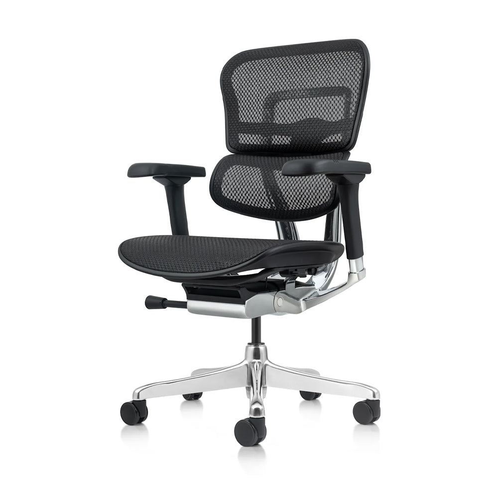 Ergo Mesh Teck - Chairlines