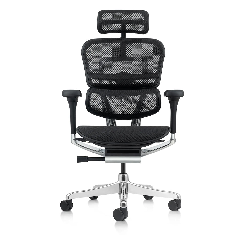 Ergo Mesh Teck - Chairlines