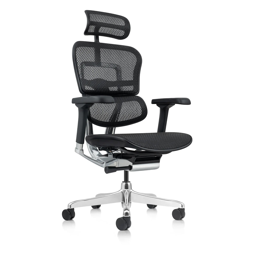 Ergo Mesh Teck - Chairlines