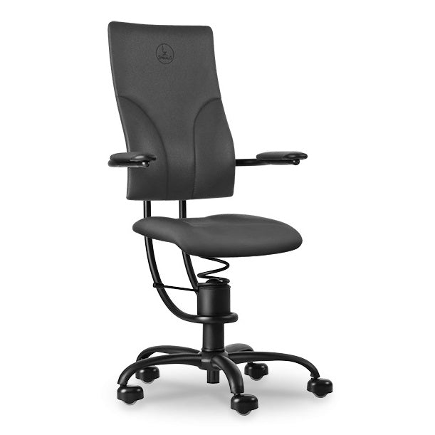 Spinalis Apollo - Chairlines