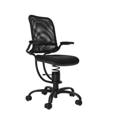 Spinalis Ergonomic