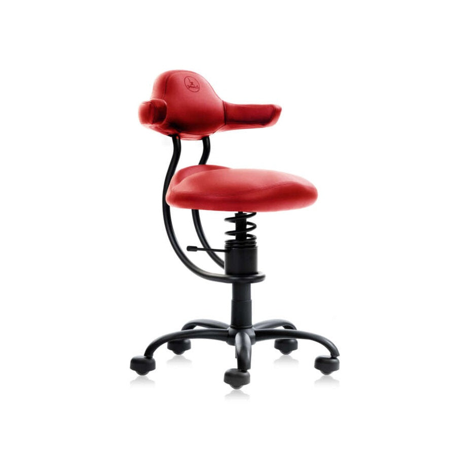 Spinalis Explorer - Chairlines