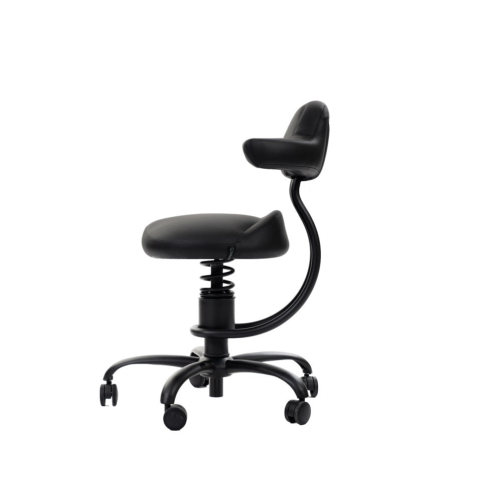 Spinalis Explorer - Chairlines