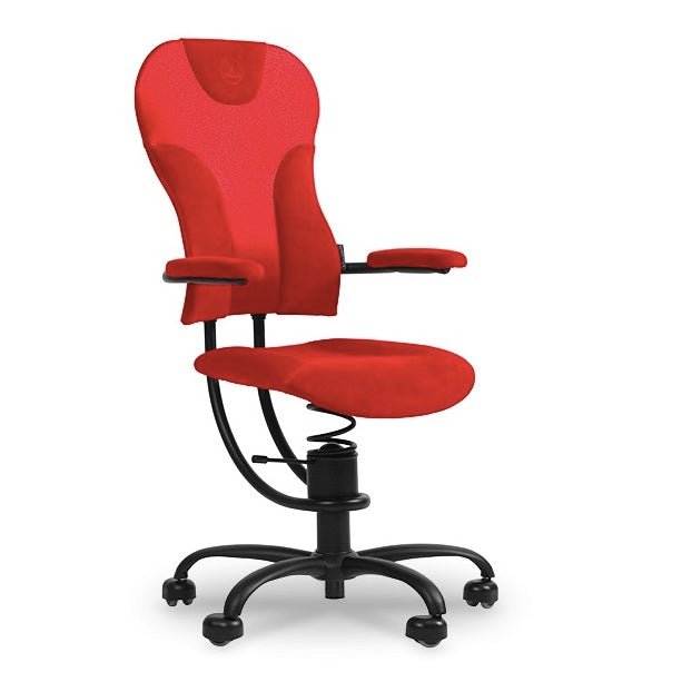 Spinalis Spider - Chairlines