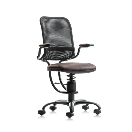 Spinalis Ergonomic