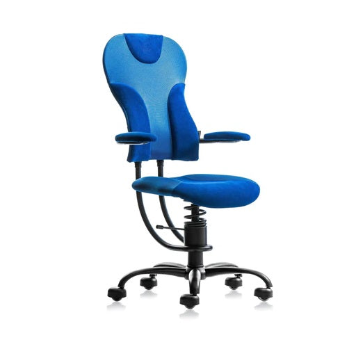 Spinalis Spider - Chairlines
