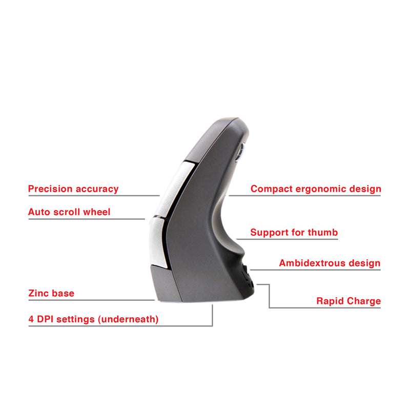 DXT Ergonomic Wireless Mouse 2 - Chairlines