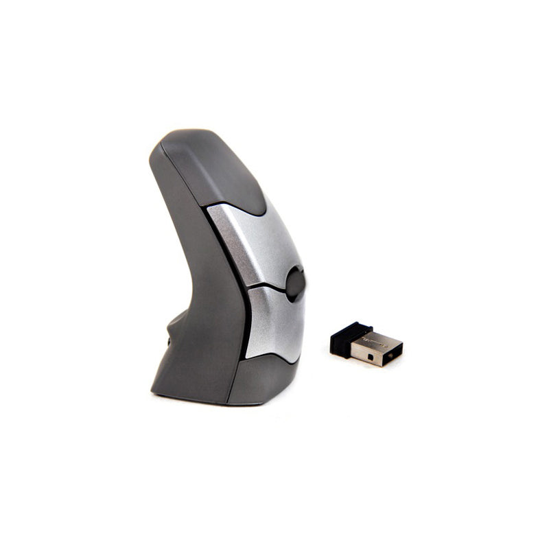 DXT Ergonomic Wireless Mouse 2