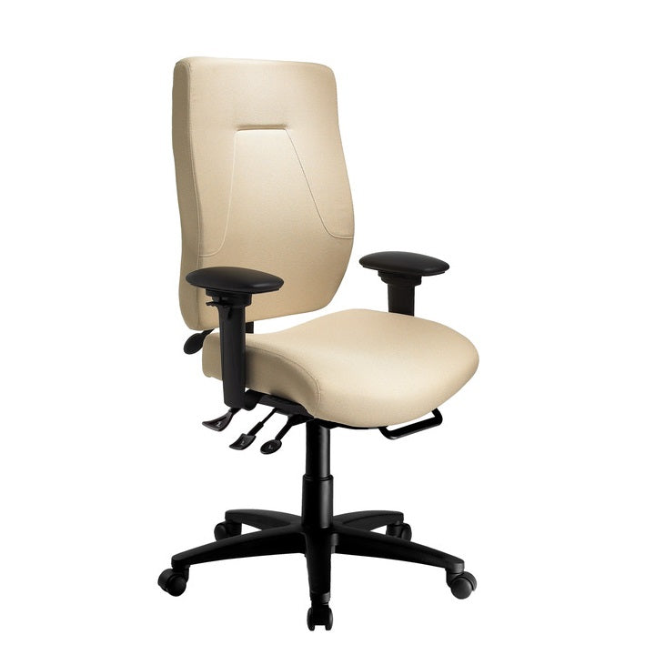 ergoCentric eCentric Executive - Chairlines
