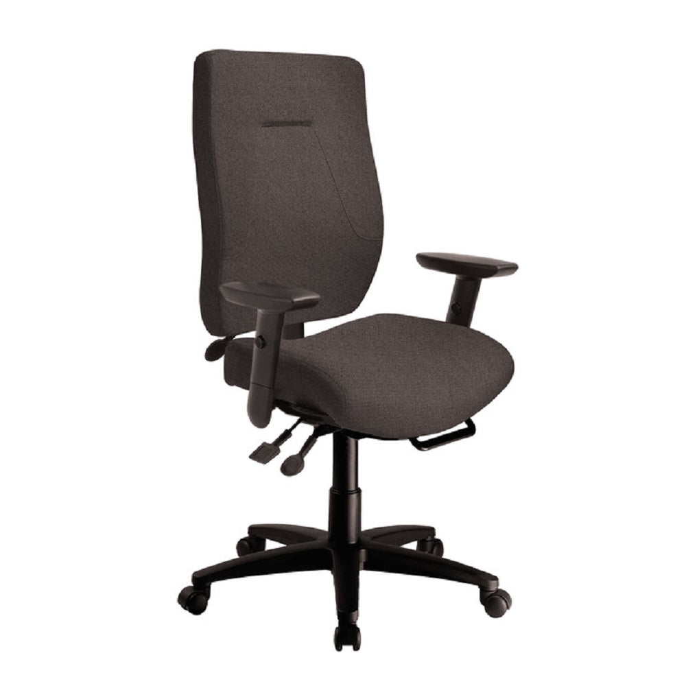 ergoCentric eCentric Executive Plus