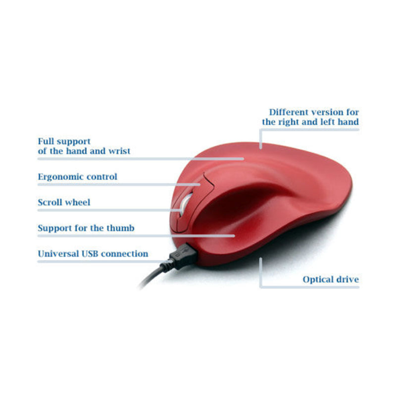 Handshoe Mouse - Chairlines