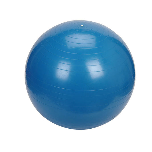Relaxus Anti-Burst Exercise Ball - Chairlines