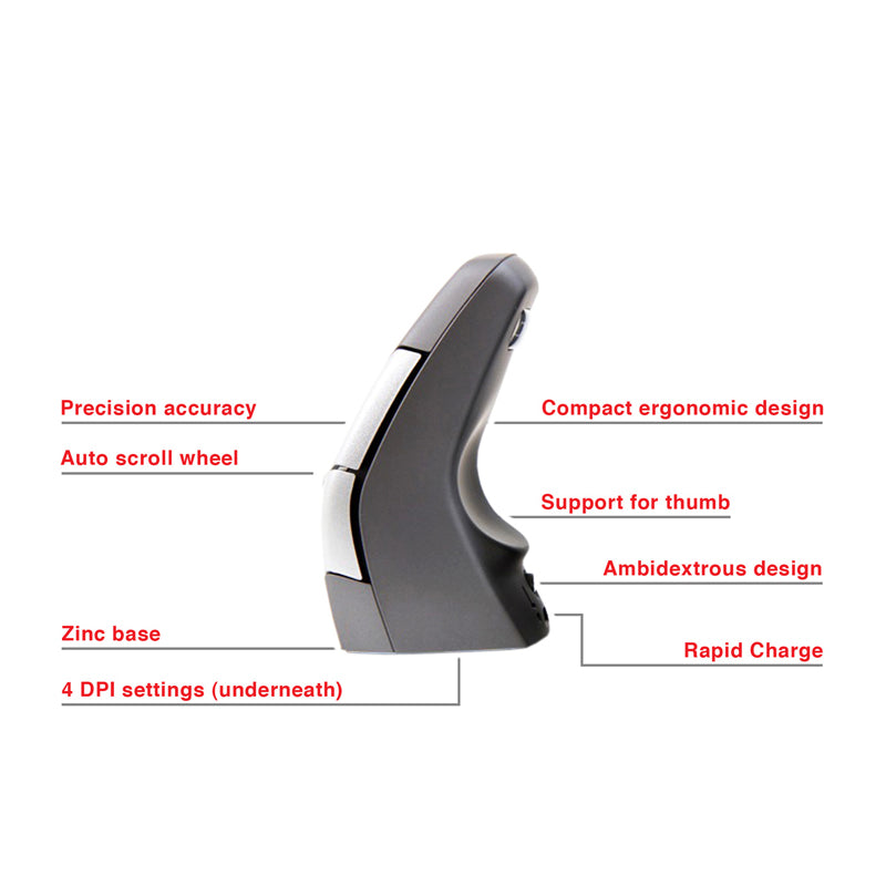 DXT Ergonomic Wireless Mouse 2